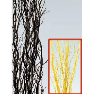 Ветка Саликса Светло-жёлтый 150 см 