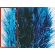 Гинериум Светло-голубой 200 см 