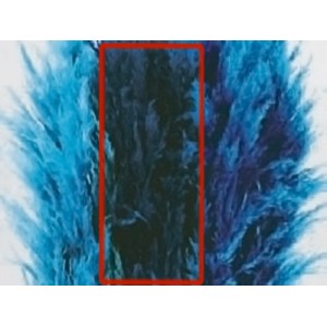 Гинериум Темно-голубой 200 см 
